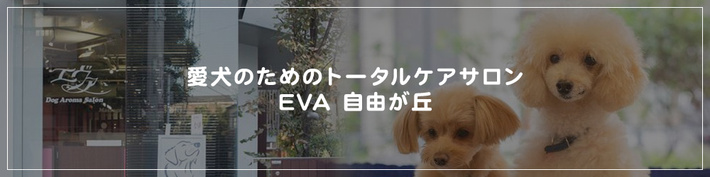 愛犬のためのトータルケアサロンEVA 自由が丘