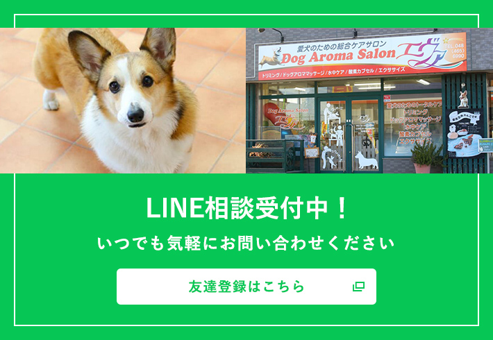 LINE相談受付中